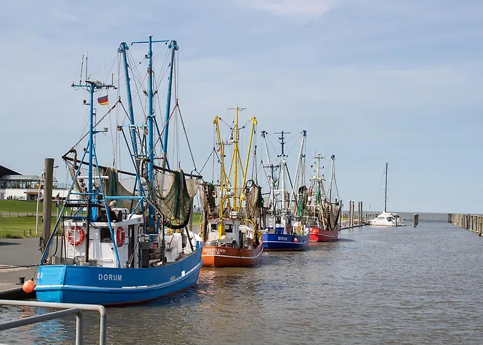 Kniepsand 09 بيت للعطل *